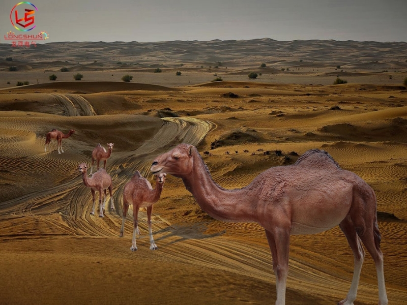 廣東駱駝發光雕塑